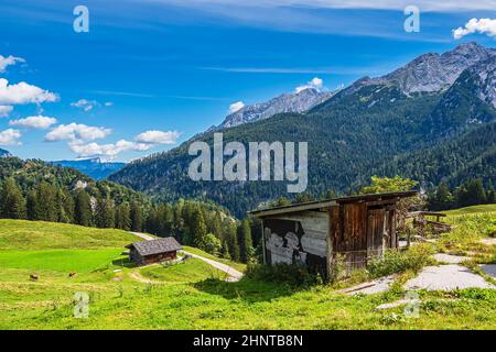 Blick auf die Litzlalm in den Alpen, Österreich Stockfoto