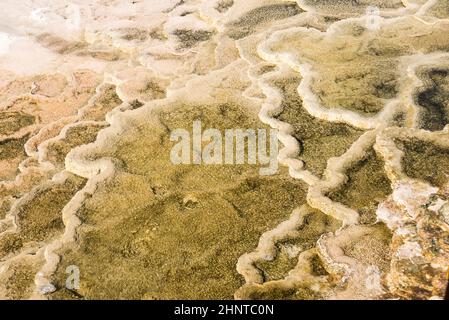 Details der Felsformationen in den Mammoth Hot Springs im Yellowstone National Park, Wyoming, USA Stockfoto