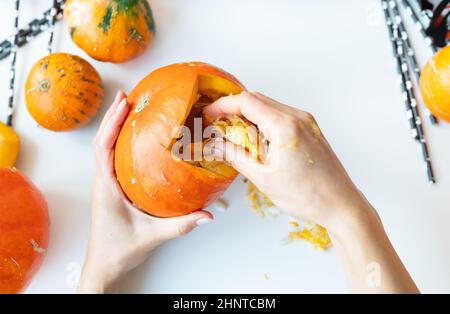 Halloween am 31. Oktober. Der Schritt-für-Schritt-Prozess des Schnitzens eines Kürbisses. Das Mädchen bekommt Samen vom Kürbis. Blick von oben Stockfoto