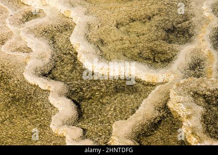 Details der Felsformationen in den Mammoth Hot Springs im Yellowstone National Park, Wyoming, USA Stockfoto