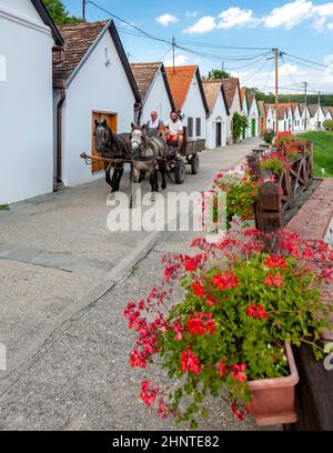 Weinkeller in Villanykovesd, Ungarn Stockfoto