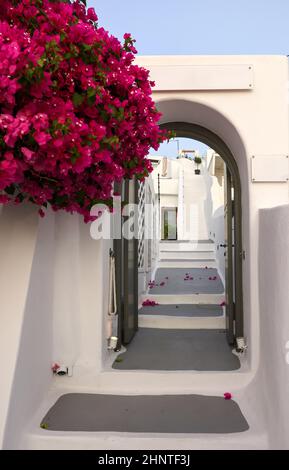 Schmale Steintreppen, ein traditionelles Stück Architektur auf der Insel Santorini. Stockfoto