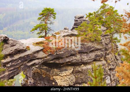 Prebischtor in der Böhmischen Schweiz ist ein Naturwunder und wurde durch Erosion geschaffen Stockfoto