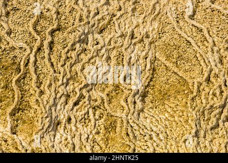 Details der Felsformationen in den Mammoth Hot Springs im Yellowstone National Park, Wyoming, USA Stockfoto