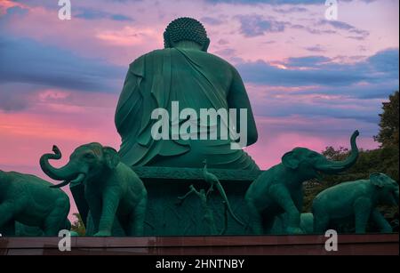 Die Rückseite der riesigen bronzenen Buddha-Statue, umgeben von Elefanten-Figuren, am Toganji-Tempel auf dem Hintergrund des Sonnenuntergangs. Nagoya. Japan Stockfoto