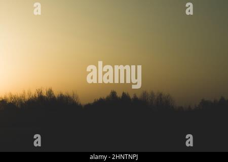 Silhouette des Waldes bei Sonnenuntergang, Sonne hinter dem Wald, Abendlandschaft Stockfoto