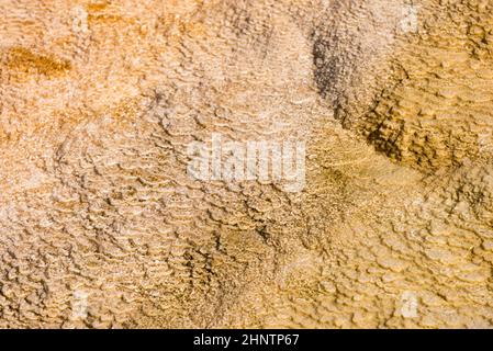 Details der Felsformationen in den Mammoth Hot Springs im Yellowstone National Park, Wyoming, USA Stockfoto