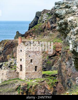 Blick von einer mit Blumen bedeckten Klippe, UNESCO-Weltkulturerbe, an einem ruhigen Sommertag an der dramatischen Küste Nordkorniens, einem beliebten Urlaub des National Trust Stockfoto