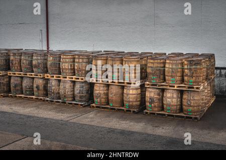 Reihen großer Holzfässer auf Paletten mit Whisky oder Wein, bereit für den Transport in Bushmills Town, Nordirland Stockfoto