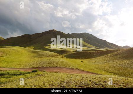 Kasachstan. Canyon of Sharynsky - Tal der Burgen und Uiguren Stockfoto