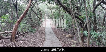 Der Taipingling Sea View Trail, New Taipei City 18. Okt. 2021, Taiwan Stockfoto