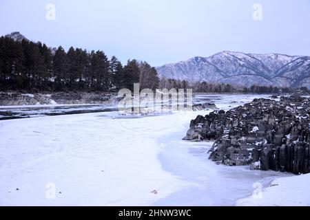 Felsige Ufer eines gefrorenen Flusses, ein Streifen Kiefernwald und schneebedeckte Berge am frühen Morgen. Katun-Fluss, Altai, Sibirien, Russland. Stockfoto