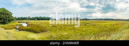 Malerische Sumpflandschaft in Scarboro, Maine, USA Stockfoto