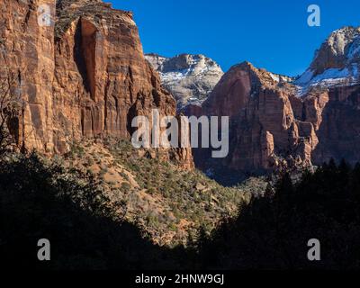 Blick auf den Zion Canyon vom Emerald Pool Trail, Zion National Park, Utah. Stockfoto