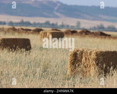 Schönes Plateaufeld Spanien erntet Strohballen Sommerhitze Stockfoto