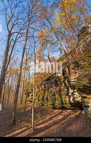 Bewaldete Bluffs im Herbst im Ferne Clyffe State Park in Illinois Stockfoto