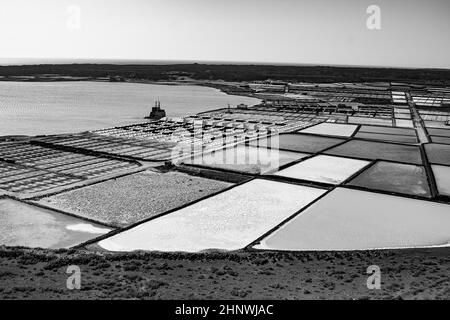 Salz Pfähle auf einer Kochsalzlösung Exploration in Janubio Lanzarote Stockfoto