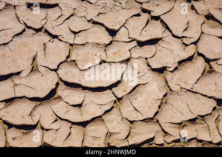 Große Schlammrisse und getrocknete Schlammfliesen in der Wüste des Death Valley Stockfoto