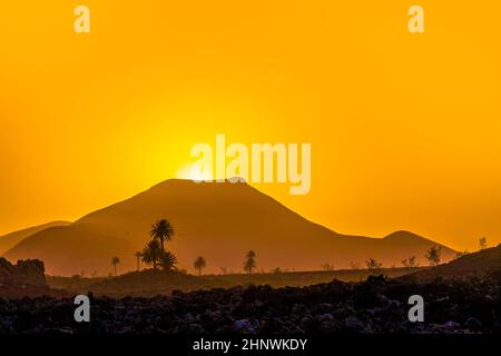 Romantischer Sonnenuntergang mit eigenständigen Bäumen im Vulkangebiet von Lanzarote Stockfoto