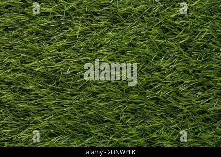 Grüne Kunstrasen Texturen für Hintergründe und Tapeten. Texturhintergrund. Abstrakter Hintergrund. Makrofotografie. Nahaufnahme Stockfoto