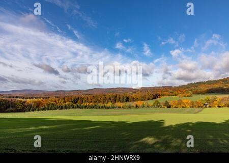 Landschaftlich reizvolle Landschaft im Taunus bei Wiesbaden Stockfoto