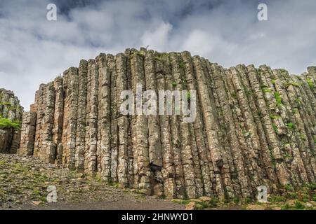 Wand aus sechseckiger Gesteinsformation, ineinander verschränkte Basaltsäulen in Giants Causeway, Wild Atlantic Way und UNESCO-Weltkulturerbe, Nordirland Stockfoto