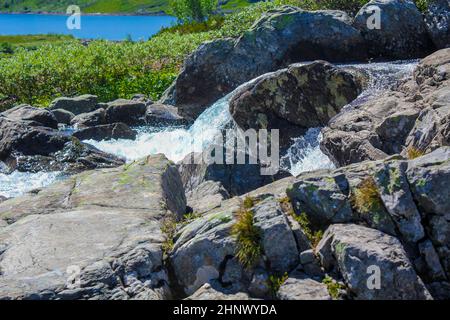 Der wunderschöne Fluss Storebottåne fließt in den Vavatn-See. Sommerlandschaft in Hemsedal, Norwegen. Stockfoto