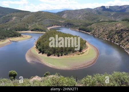 Schöne Mäander Fluss Kurven Wasserlandschaft Natur Amplitude Stockfoto