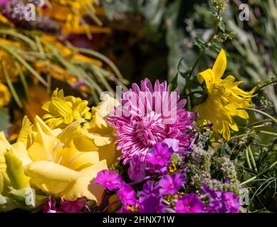 Traditionelles Bouquet aus Blumen, Kräutern und Früchten, das das Symbol des Sommers ist Stockfoto