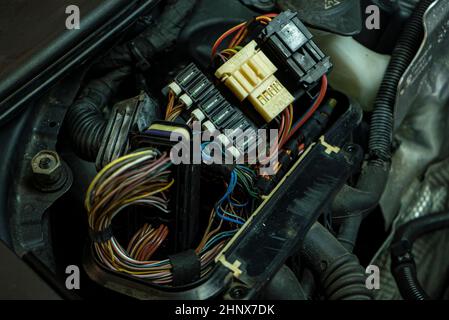 Detail der modernen Auto-Motor ecu elektrische Kabel Stockfoto