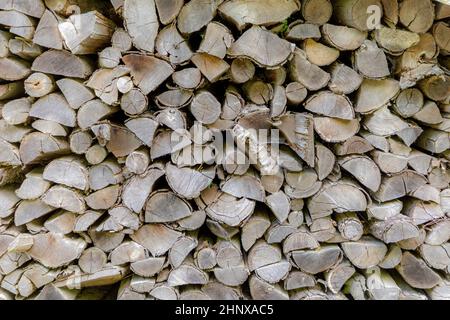 Hintergrund des gehefteten Brennholzes, das im Wald trocknet Stockfoto