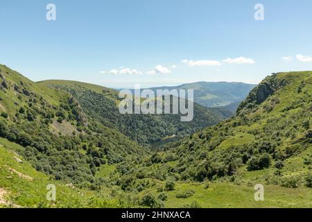 Panoramablick auf den Gipfel le Hoheneck auf der Haute du crete im elsass in Frankreich Stockfoto