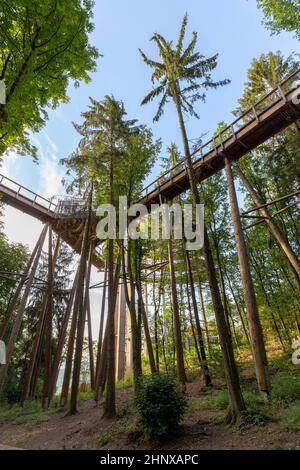 Landschaft des Saarlandes mit Baumwipfelpfad am saar-Aussichtspunkt in Deutschland Stockfoto