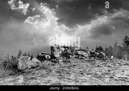 Romantischer Brunhildis-Felsen auf dem Feldberg in Hessen Stockfoto