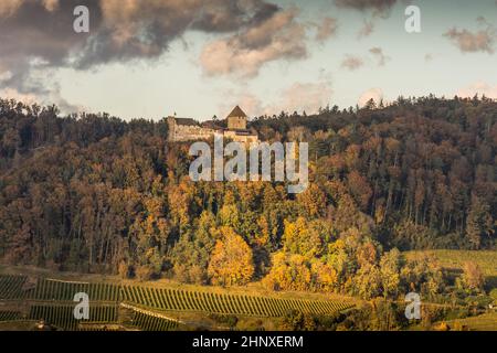 Burg Hohenklingen bei Stein am Rhein im Abendlicht, Kanton Schaffhausen, Schweiz Stockfoto