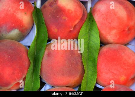 Reife Pfirsiche der neuen Ernte werden im Basar verkauft Stockfoto