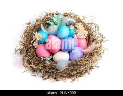 Farbige Ostereier in einem Nest mit Federn und Blumen isoliert auf weißem Hintergrund. Seitenansicht, Nahaufnahme. Das Konzept von Ostern. Stockfoto