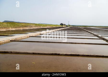 Traditionelles Salzgewinnungslager (Salinas) in Figueira da Foz, Portugal Stockfoto