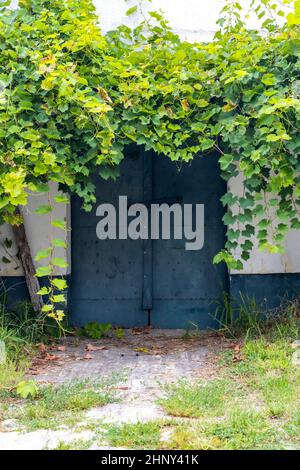 Weinstraße in Hajos, Kalocsa County, Südliche Tiefebene, Ungarn Stockfoto