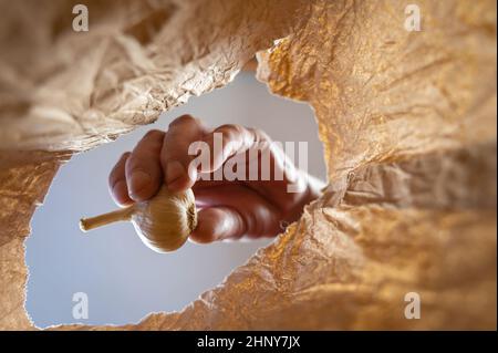 Eine Hand legt einen Knoblauchkopf in einen braunen Papierbeutel. Die Hand eines reifen Mannes hält eine reife Birne über dem offenen braunen Beutel. Von unten nach oben geschossen. Nahaufnahme. Stockfoto