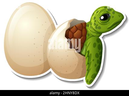 Baby Schildkröte schlüpfen aus einem Ei Tier Cartoon Aufkleber Illustration Stock Vektor