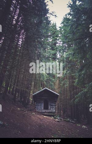 Kleine verlassene Holzhütte in einem tiefen dunklen Tannenwald Stockfoto