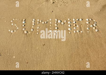 Wort Sommer legte Muscheln auf dem Sand als Hintergrund Stockfoto