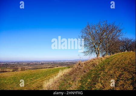 Blick auf eine kleine Stadt von einem Hügel mit knarrigen Bäumen und landwirtschaftlichen Flächen im frühen Frühjahr. Stockfoto