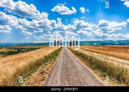 SAN QUIRICO D'ORCIA, ITALIEN - 23. JUNI: Berühmte Gruppe von Zypsen in San Quirico d'Orcia, Provinz Siena, Toskana, Italien, wie am 23. Juni 2019 zu sehen ist Stockfoto