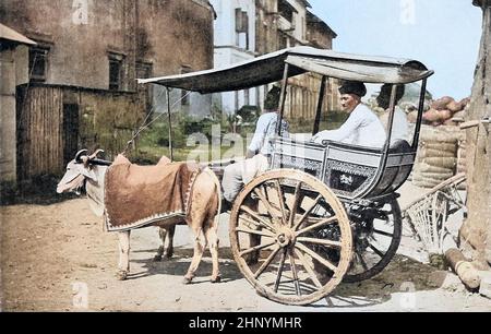 Machine Colorized Native Bullock Cart oder Makerry in Bombay (Mumbai) aus den lebenden Rassen der Menschheit : Eine populäre illustrierte Darstellung der Bräuche, Gewohnheiten, Verfolgungen, Feste und Zeremonien der Menschenrassen in der ganzen Welt Band 1 von Sir Harry Hamilton Johnston, Henry Neville Hutchinson, Richard Lydekker und Dr. A. H. Keane veröffentlichte London : Hutchinson & Co. 1902 Stockfoto
