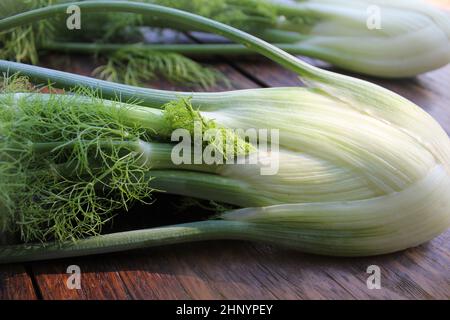 Rohe Bio Fenchel Glühbirnen Ready to Cook Stockfoto