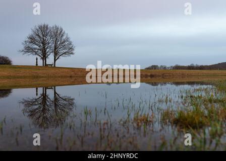 Zapfendorf, Deutschland. 18th. Februar 2022. In der Morgendämmerung spiegeln sich Bäume in einem überfluteten Feld. Quelle: Nicolas Armer/dpa/Alamy Live News Stockfoto