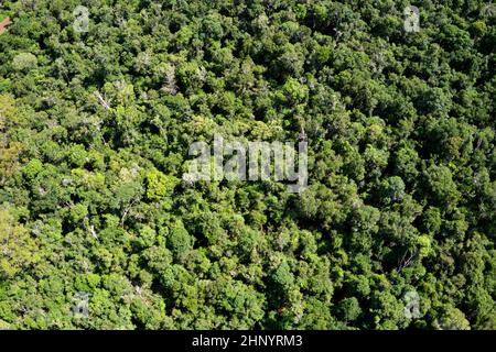 Luftaufnahme des ursprünglichen Buschlandes, die im Jack Smith Conservation Park Murgon Queensland Australia erhalten wurde Stockfoto