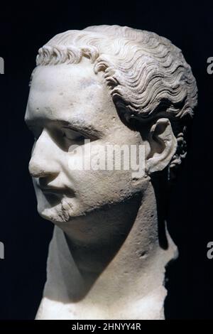 Domitian.Kaiser Domitianus;51 – 96 v. Chr..Römischer Kaiser von 81 bis 96. Er war der Sohn von Vespasian und der jüngere Bruder von Titus, seinen beiden Vorgängern auf dem Thron, und das letzte Mitglied der flavischen Dynastie. Stockfoto